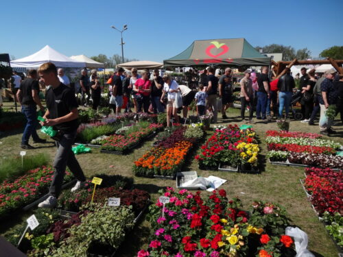 Smacznie i zdrowo