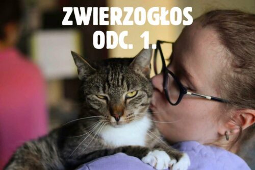 ZWIERZOGŁOS odc. 1.
