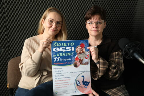 Gęsina na Krajnie